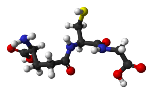 Read more about the article What is Glutathione?